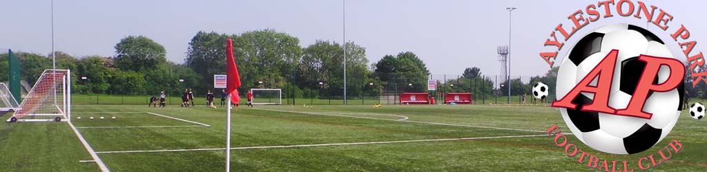 Mary Linwood Ground 3G Pitch